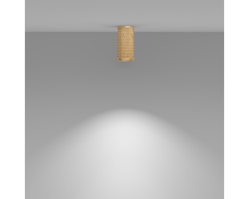 Потолочный светильник Technical C036CL-01G