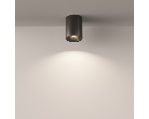 Потолочный светильник Technical C029CL-01B