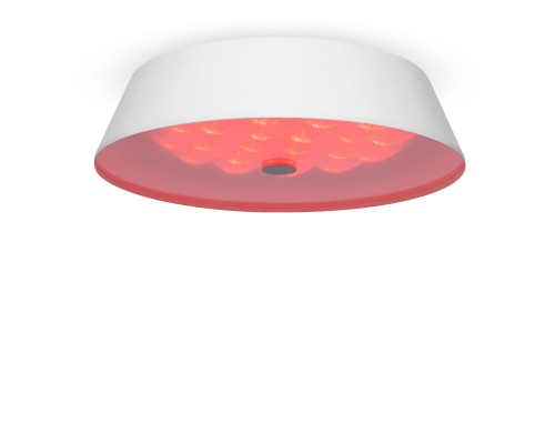 Потолочный светильник Freya FR10013CL-L24W