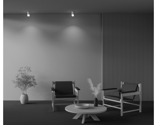 Потолочный светильник Technical C007CW-01W