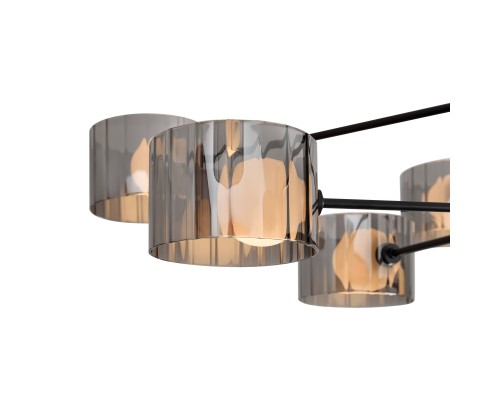 Потолочный светильник Freya FR5544CL-10B