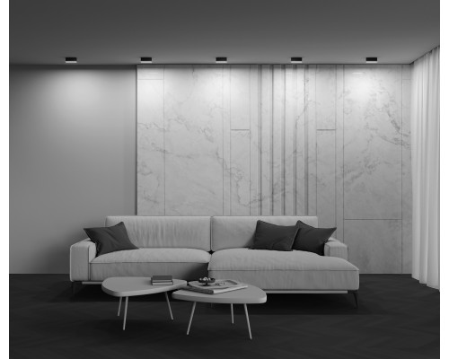 Потолочный светильник Technical C068CL-12W3-6K-B