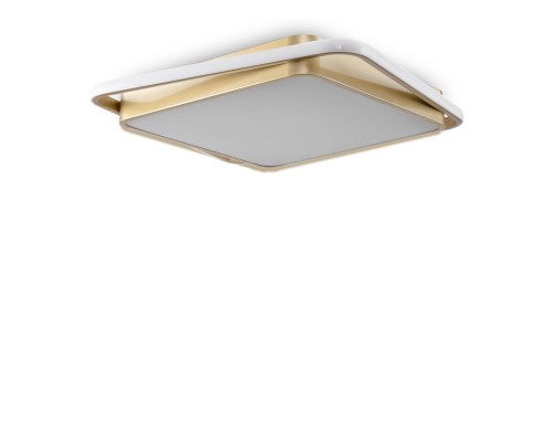 Потолочный светильник Freya FR10026CL-L93G