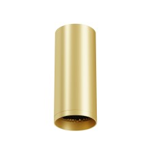 Потолочный светильник Technical C010CL-01MG-N