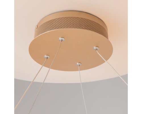 Подвесной светильник Maytoni MOD017PL-L50MG