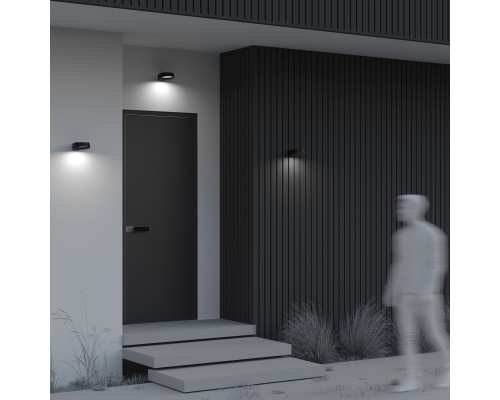 Настенный светильник (бра) Outdoor O443WL-L12GF3K