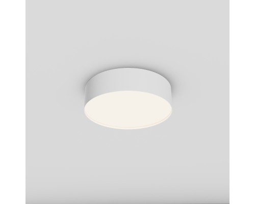 Потолочный светильник Technical C032CL-24W4K-RD-W