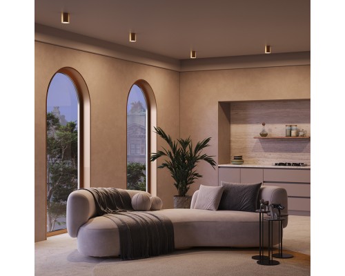 Потолочный светильник Technical C094-GU10-MG