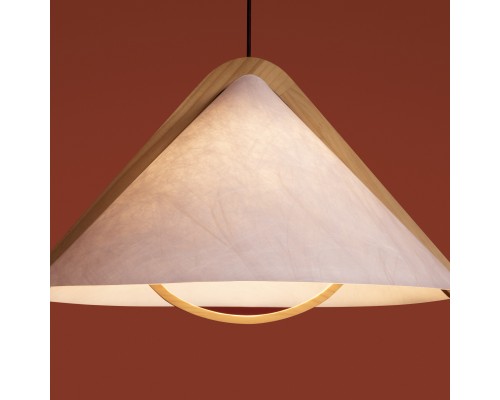 Потолочный светильник Freya FR5554CL-01T