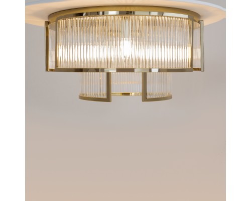 Потолочный светильник Maytoni MOD174CL-06G