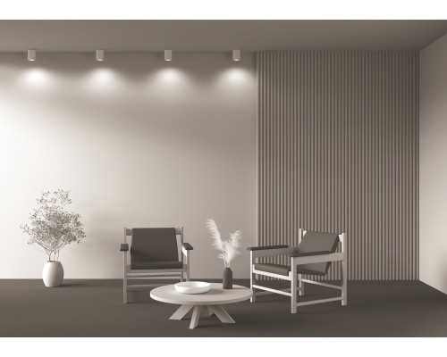 Потолочный светильник Technical C016CL-01W