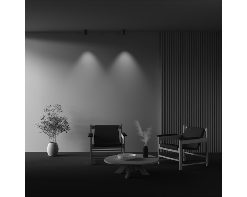 Потолочный светильник Technical C056CL-L12W3K-W-BS