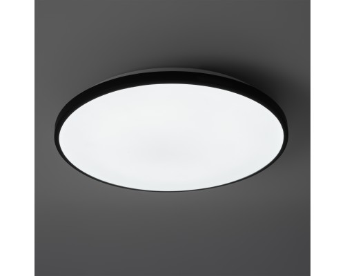 Потолочный светильник Freya FR6211CL-L24B