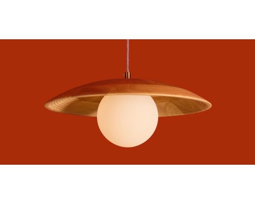 Подвесной светильник Freya FR5589PL-01T