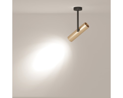 Потолочный светильник Technical C020CL-01GB