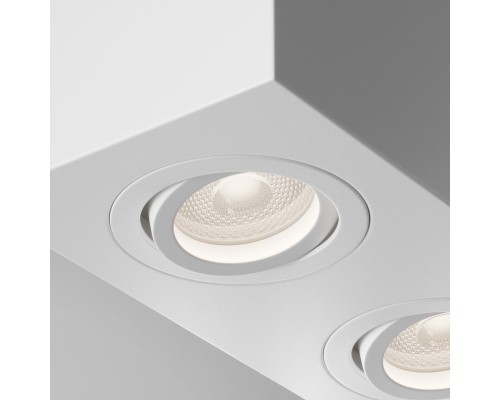 Потолочный светильник Technical C017CL-02W