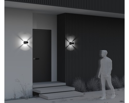 Настенный светильник (бра) Outdoor O458WL-L9GF3K