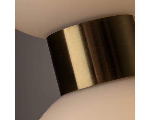 Настенный светильник (бра) Freya FR5394WL-02BS