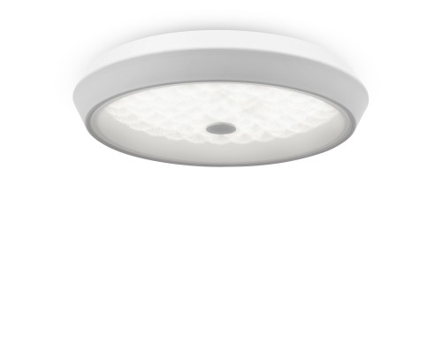 Потолочная светодиодная люстра Freya Cells FR10012CL-L24W