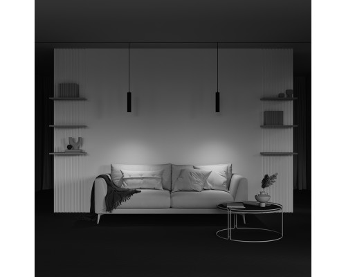 Трековый подвесной светильник Technical TR016-2-12W4K-B-1