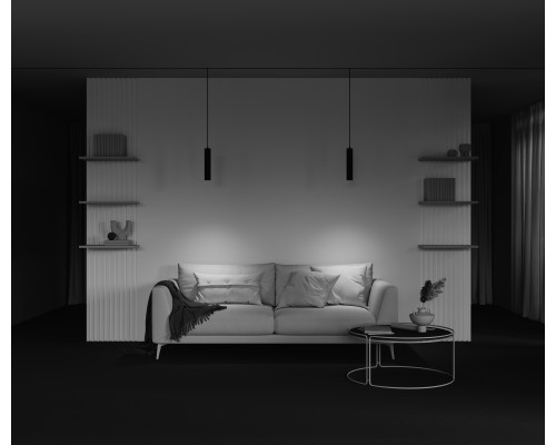 Трековый подвесной светильник Technical TR016-2-12W4K-B-1