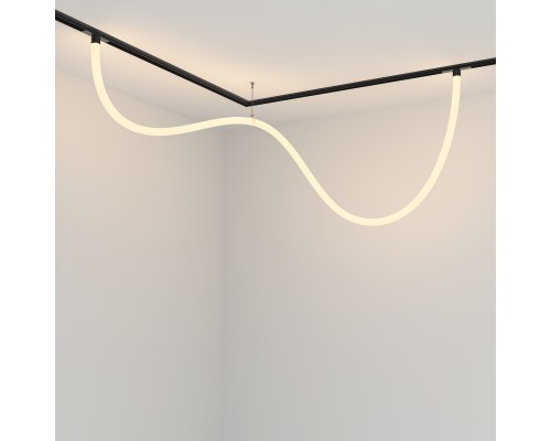 Трековый подвесной светильник Technical TR101-2-50W3K-B