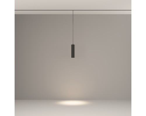 Трековый подвесной светильник Technical TR041-2-12W4K-B