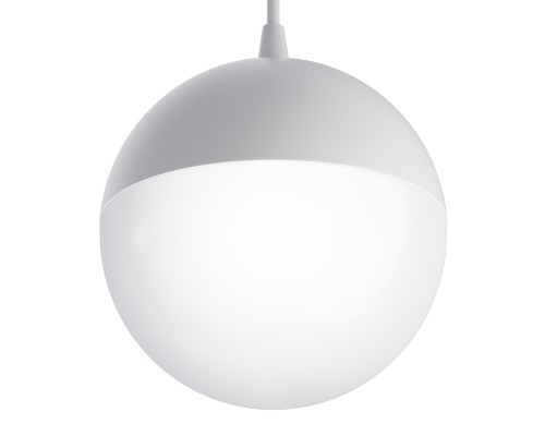 Трековый подвесной светильник Technical TR018-2-10W3K-W