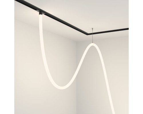 Трековый подвесной светильник Technical TR101-2-100W4K-B