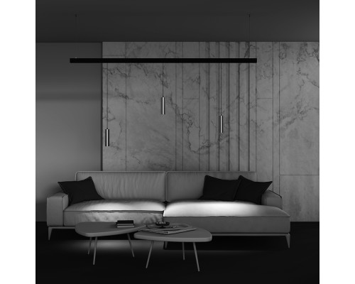 Трековый подвесной светильник Technical TR041-2-12W4K-BBS