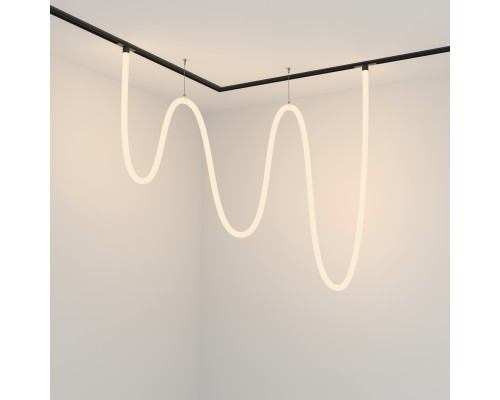 Трековый подвесной светильник Technical TR101-2-100W3K-B