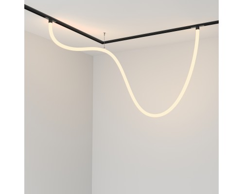 Трековый подвесной светильник Technical TR101-2-50W3K-B