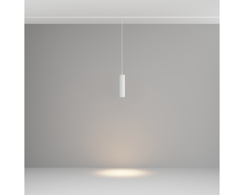 Трековый подвесной светильник Technical TR041-2-12W3K-W