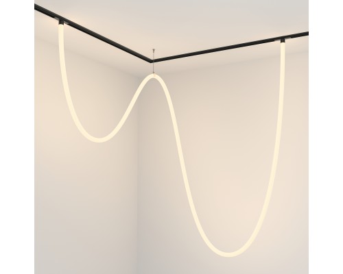 Трековый подвесной светильник Technical TR101-2-100W3K-B