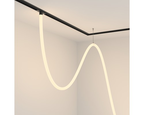 Трековый подвесной светильник Technical TR101-2-100W3K-B