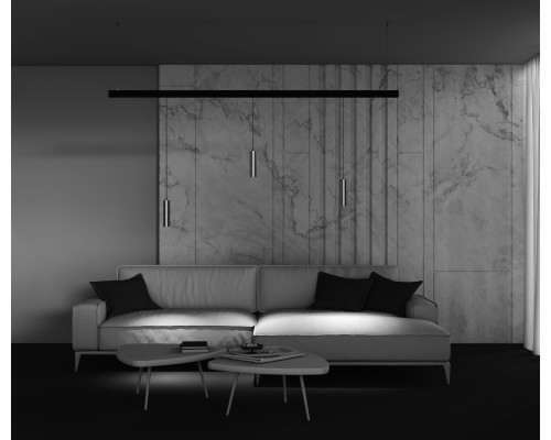 Трековый подвесной светильник Technical TR041-2-12W4K-BBS