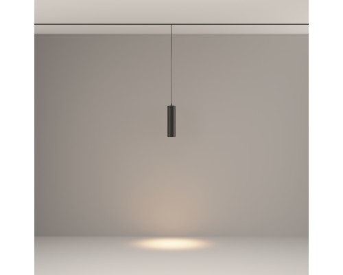 Трековый подвесной светильник Technical TR041-2-12W3K-B