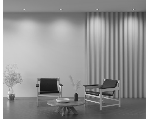 Встраиваемый светильник Technical DL024-2-01S