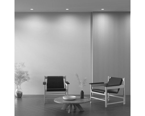 Встраиваемый светильник Technical DL042-01-RD-B