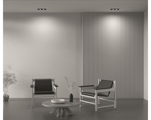 Встраиваемый светильник Technical DL008-2-02-B