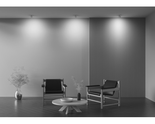 Встраиваемый светильник Technical DL024-12W4K-W