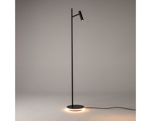 Напольный светильник (торшер) Maytoni Z010FL-L8B3K