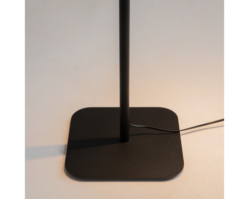 Напольный светильник (торшер) Maytoni Z001FL-L3W-1B