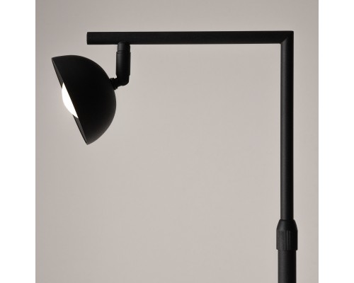 Напольный светильник (торшер) Maytoni MOD372FL-L10B3K