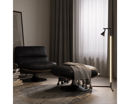 Напольный светильник (торшер) Maytoni MOD489FL-L20B3K