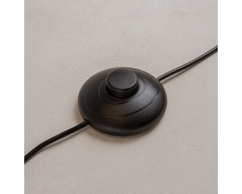 Напольный светильник (торшер) Maytoni MOD348FL-L24BBS3K