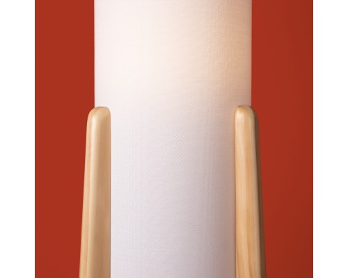 Напольный светильник (торшер) Freya FR5543FL-01T