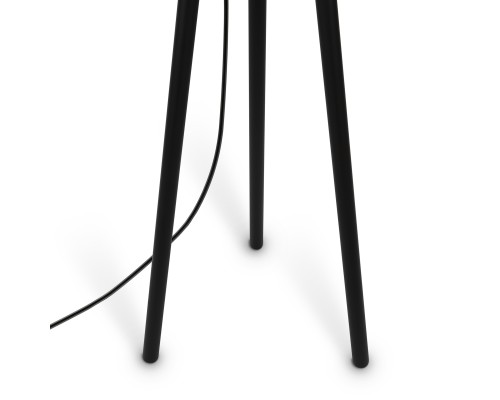 Напольный светильник (торшер) Maytoni Z177FL-01B