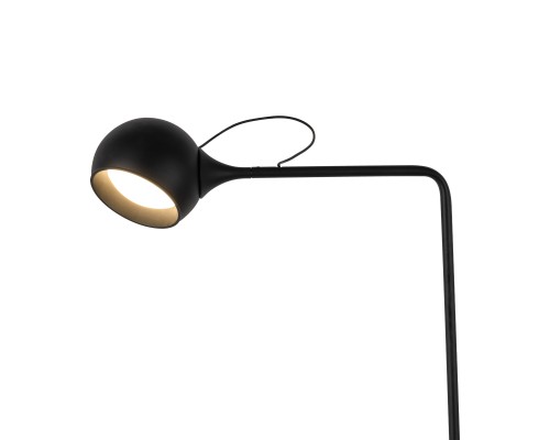 Напольный светильник (торшер) Freya FR5606FL-L9B