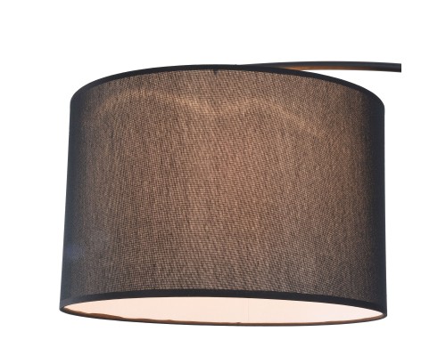 Напольный светильник (торшер) Maytoni Z328-FL-01-B